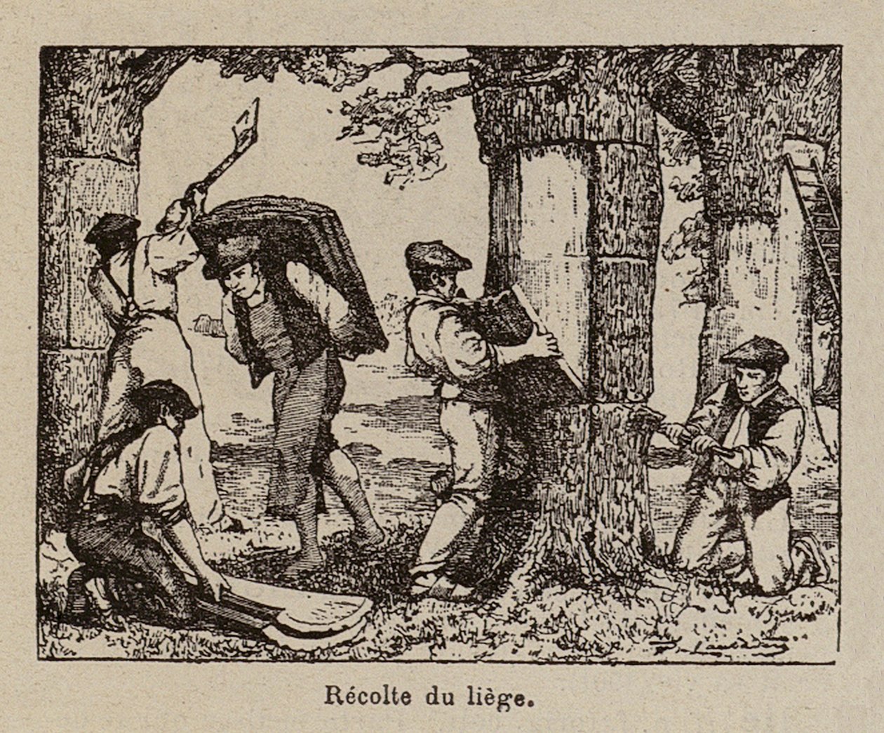  door Paul de Laubadere