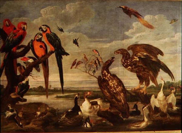 Verscheidenheid aan vogels door Paul De Vos