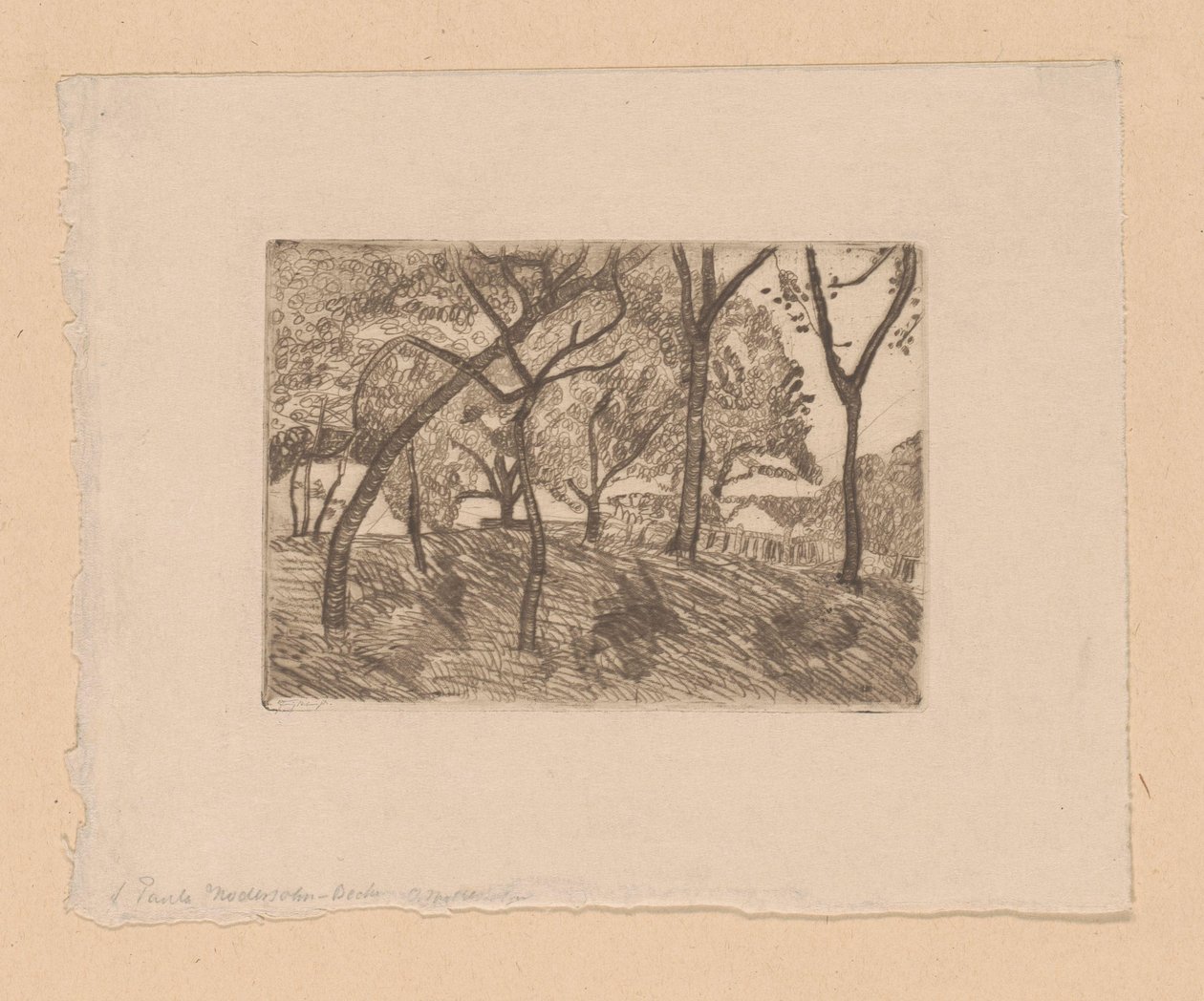 Bosgezicht door Paula Modersohn Becker (signed by artist)