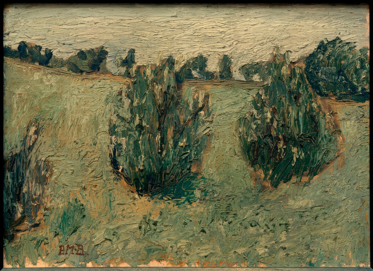 Landschap met dennen door Paula Modersohn-Becker