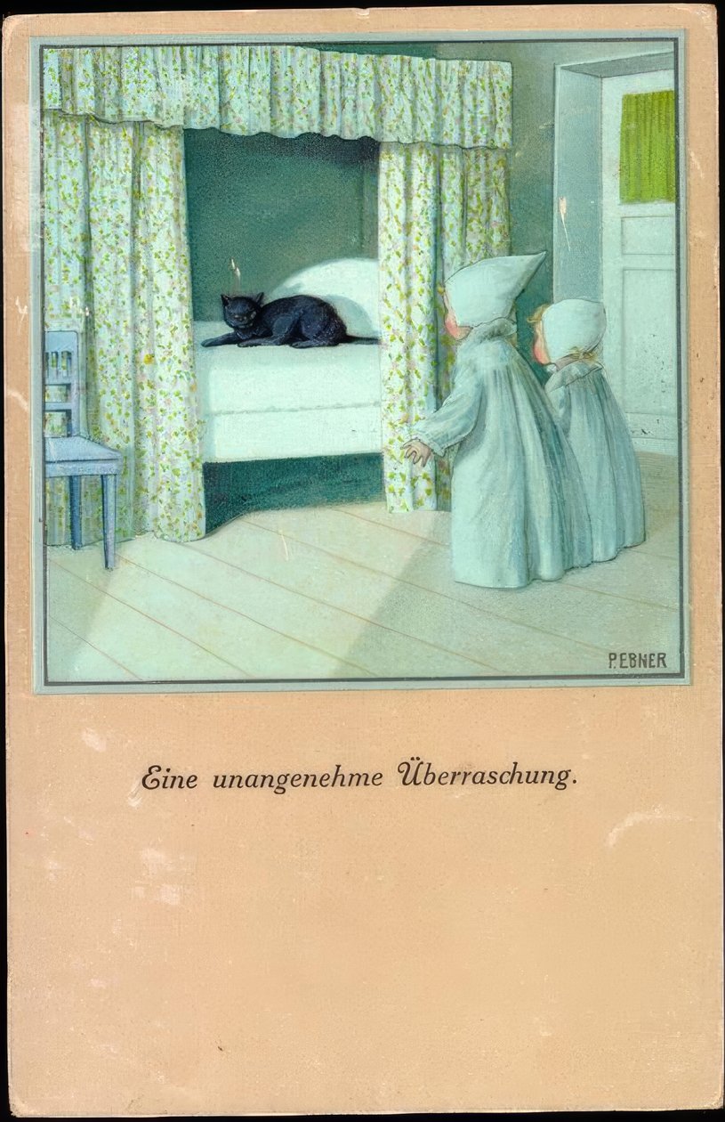 Een onaangename verrassing door Pauli Ebner