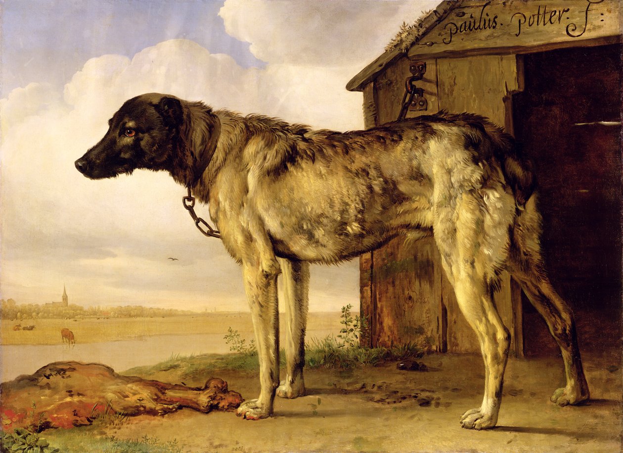 Hond aan een Ketting, 1653-4 door Paulus Potter