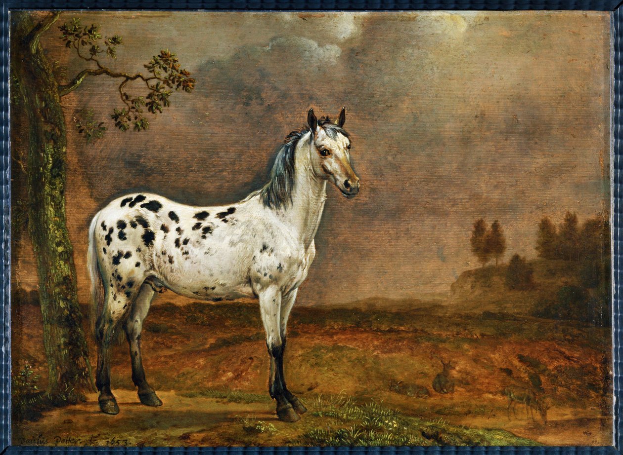 Le cheval pie - het gevlekte paard ... door Paulus (attr.to) Potter