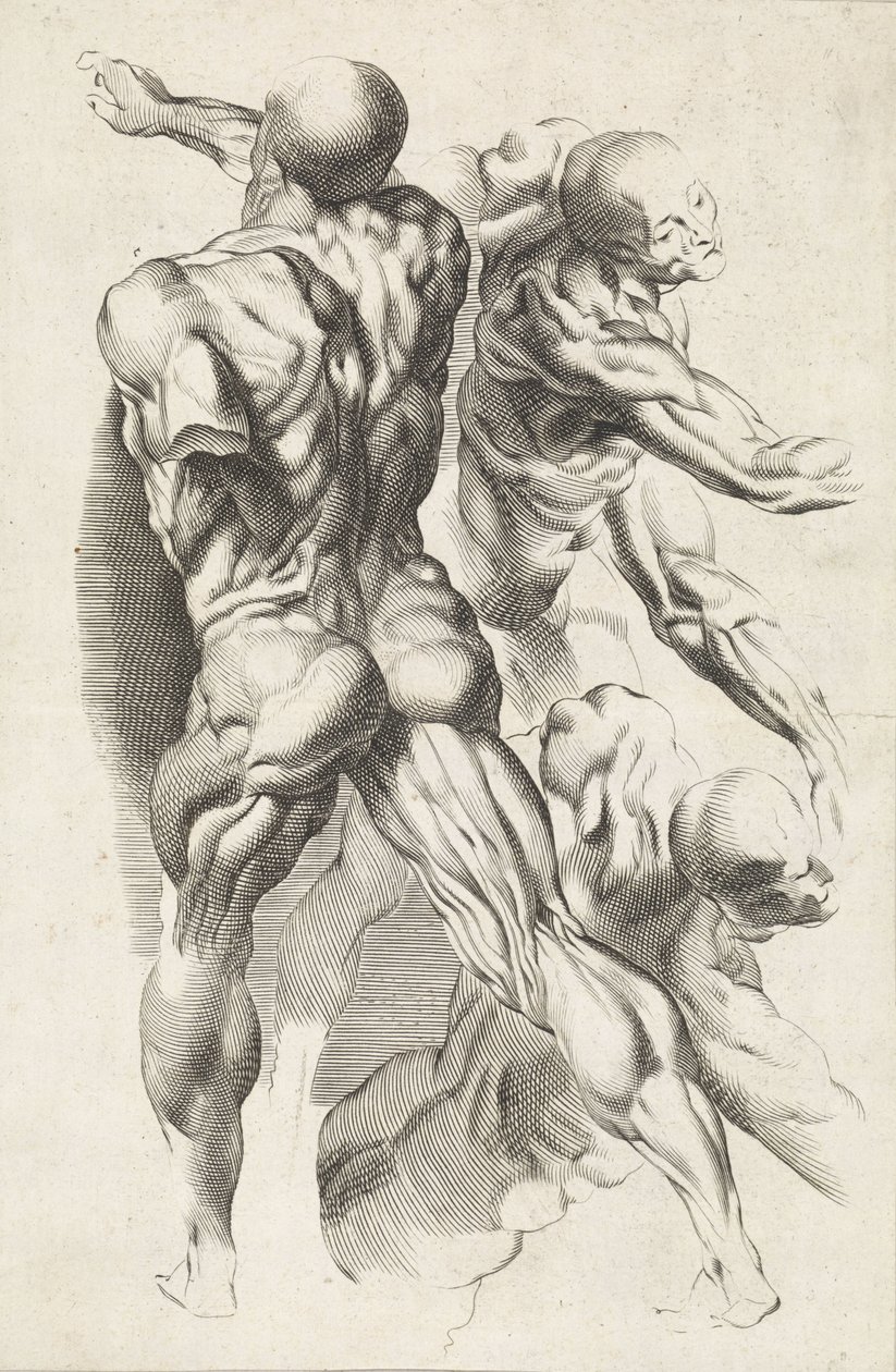 Anatomische studie van drie figuren met gestrekte armen door Paulus Pontius