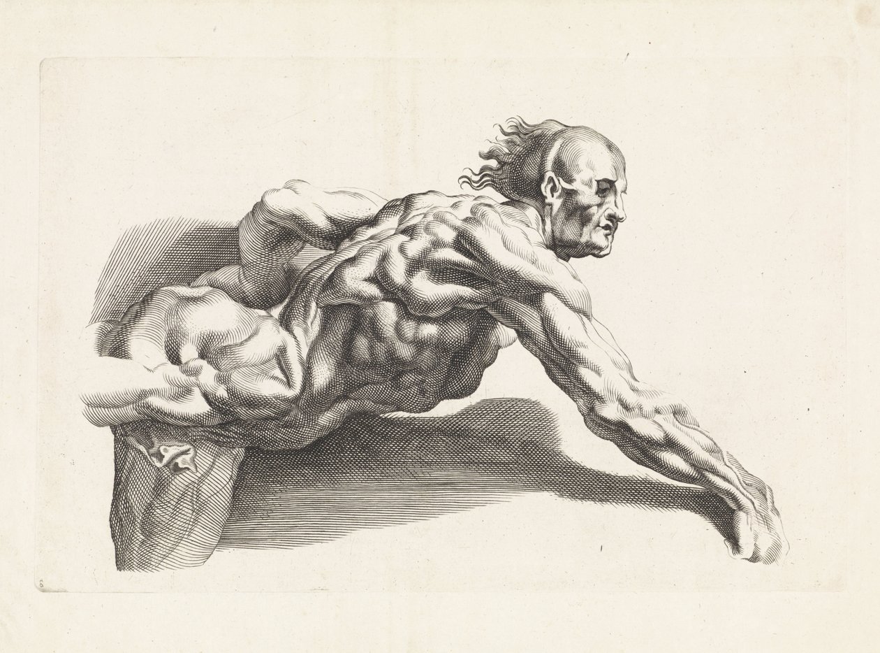 Anatomische studie van vooroverleunende man door Paulus Pontius