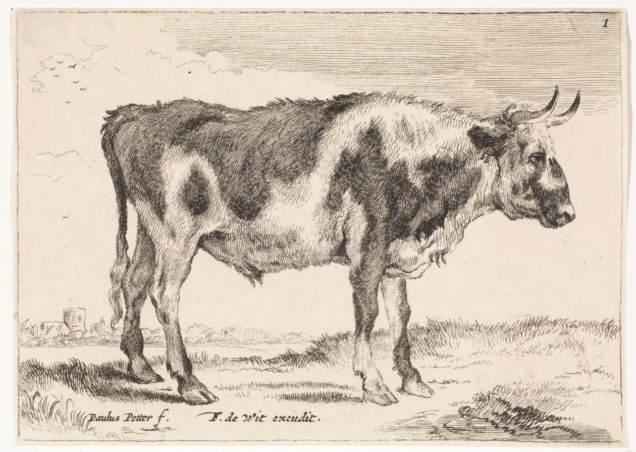 Gevlekte os door Paulus Potter (rejected attribution)