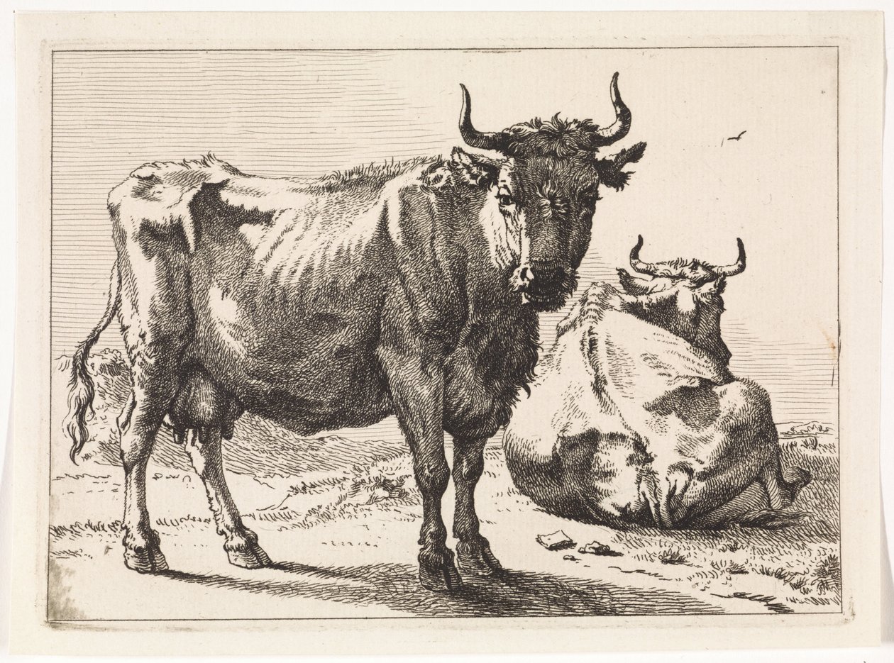 Een staande en een liggende koe door Paulus Potter