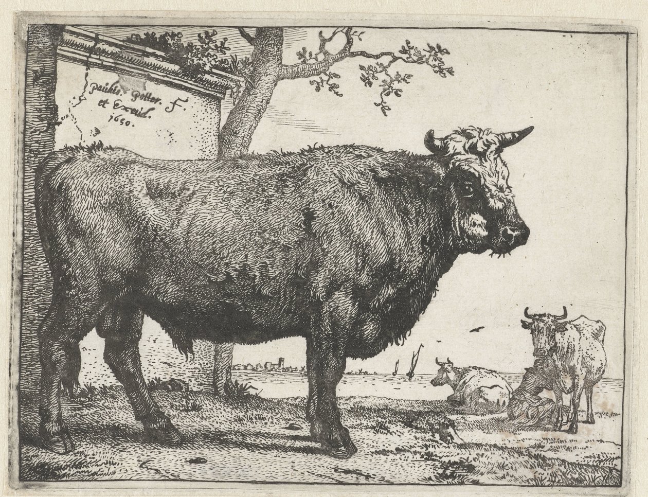 Stier door Paulus Potter