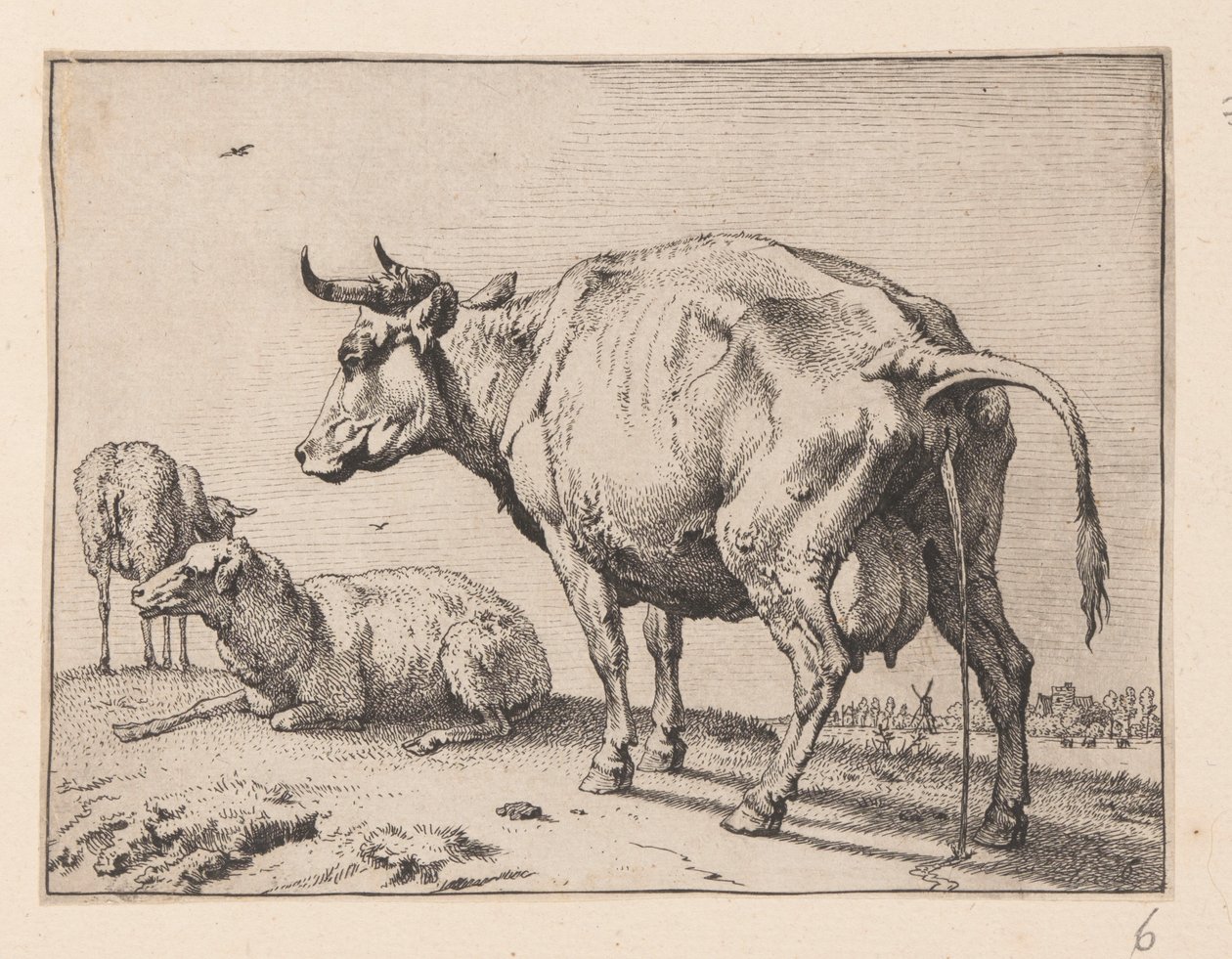 De Pissende Koe, van Diverse Ossen en Koeien door Paulus Potter
