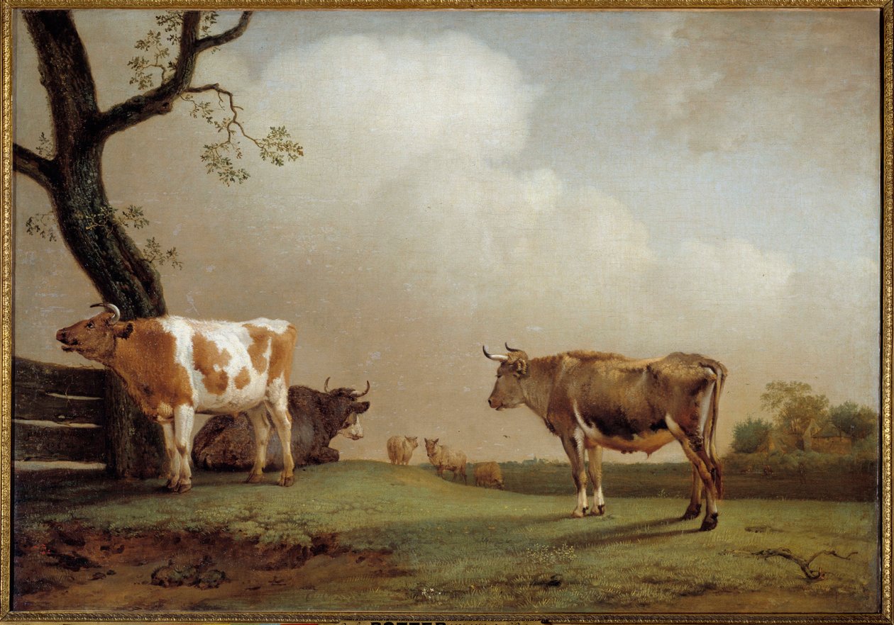 De weide door Paulus Potter