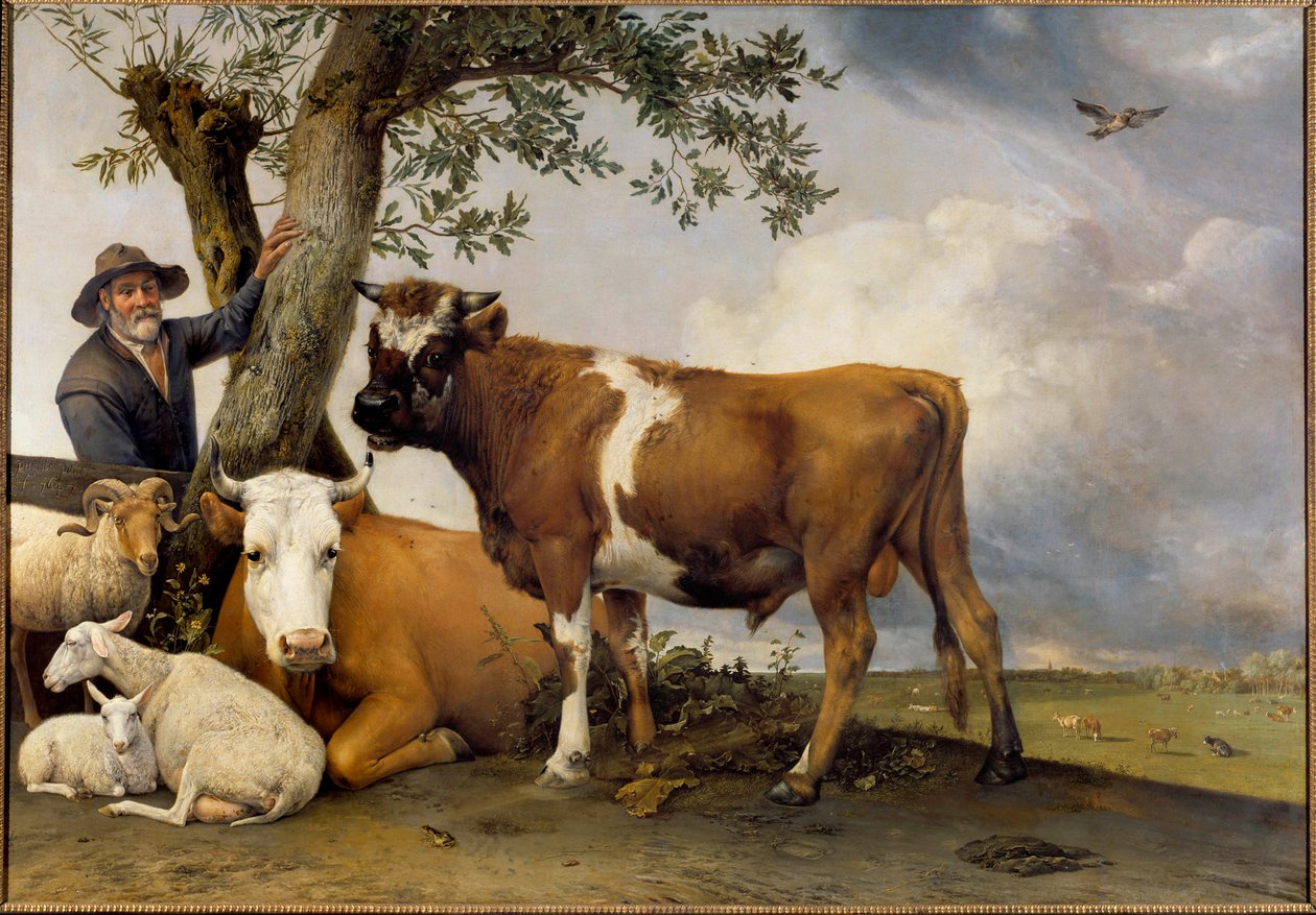 De jonge stier door Paulus Potter