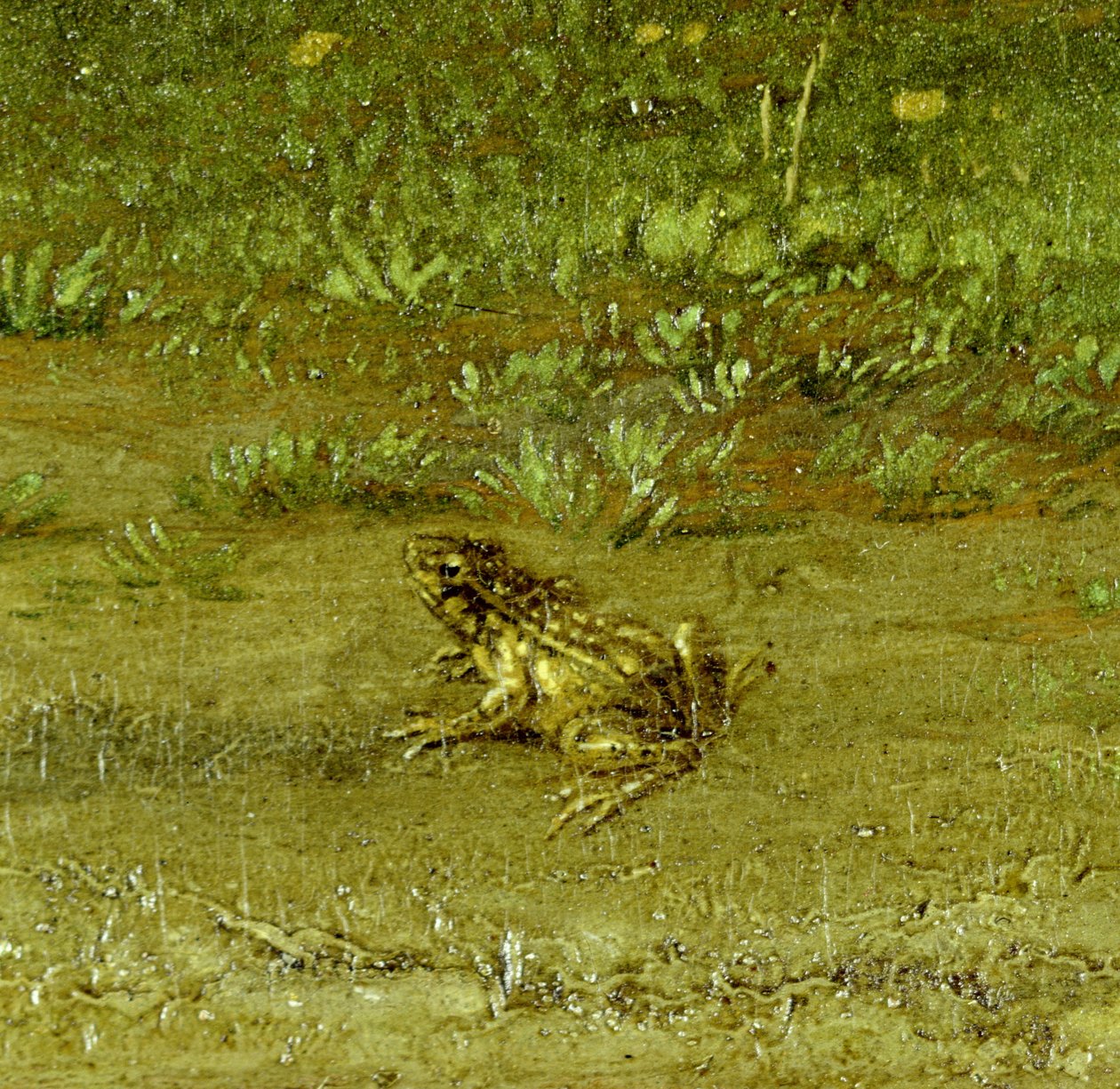 Pad, detail van Een landgenoot met zijn kudde (detail) door Paulus Potter