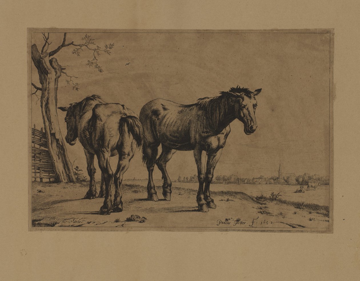 Twee paarden door Paulus Potter