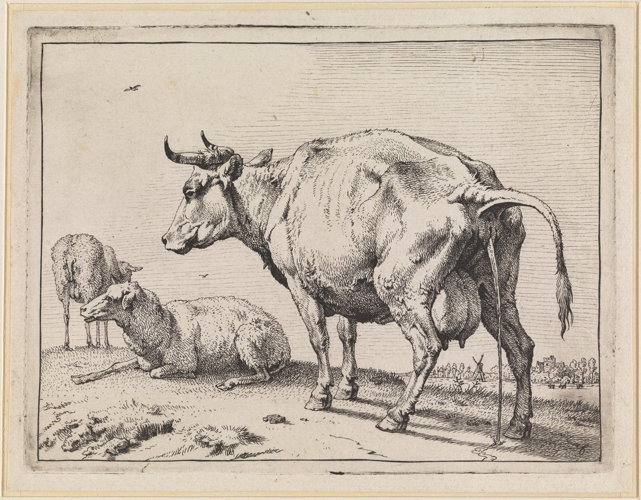 Urinerende koe door Paulus Potter