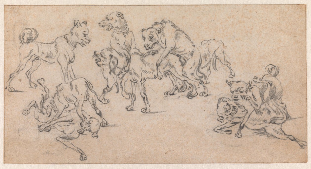 Vechtende en parende honden door Paulus Potter