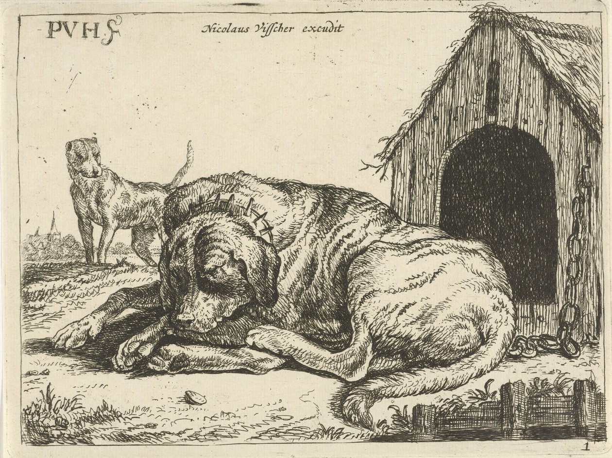 Liggende hond aan een ketting door Pauwels van Hillegaert
