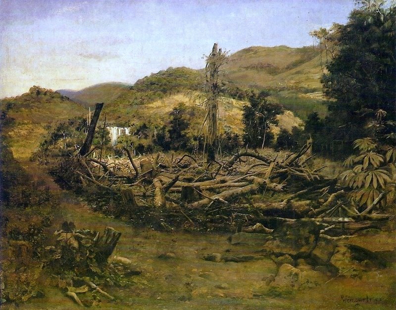 Bomen kappen door Pedro Weingärtner
