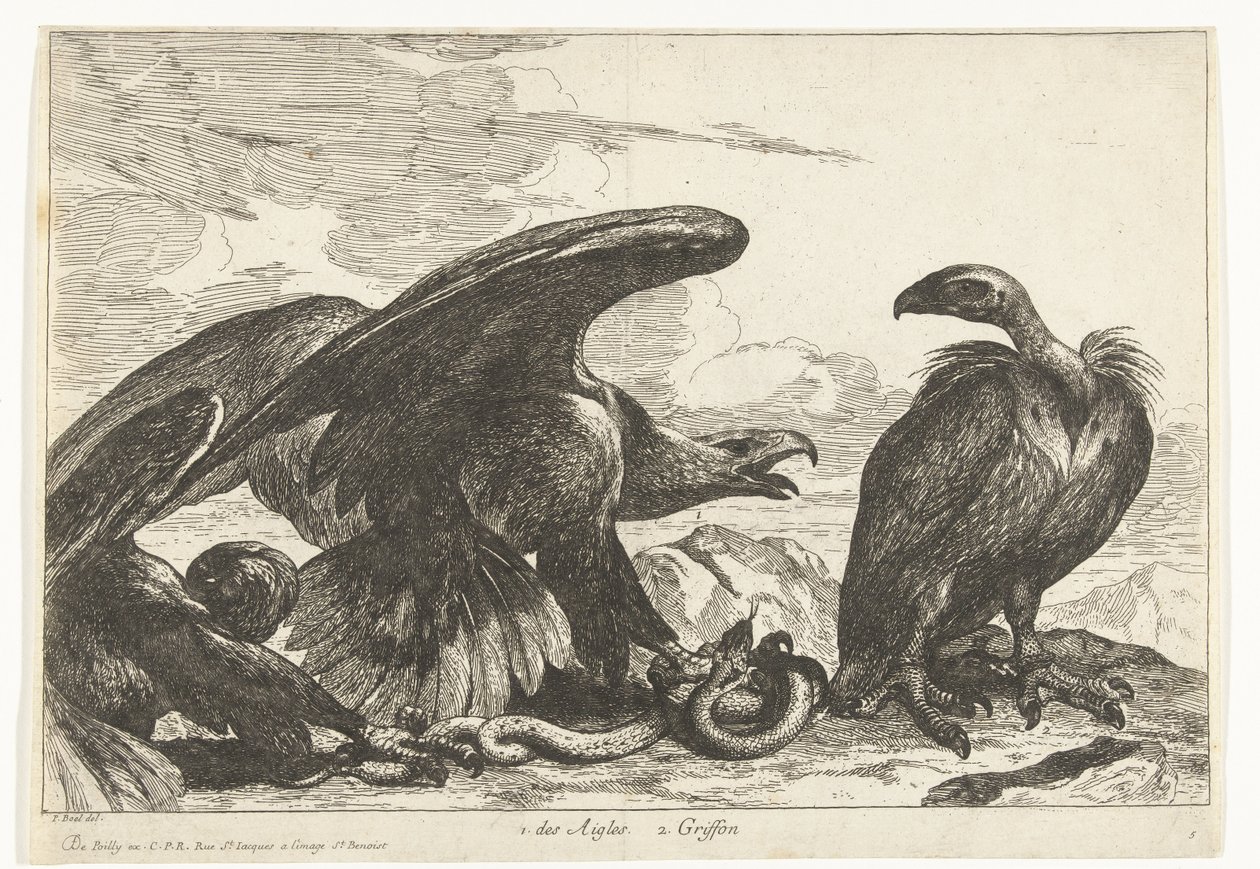 Gier en een arend met slang Vogels uit de menagerie van Versailles (series title) door Peeter Boel (attributed to)