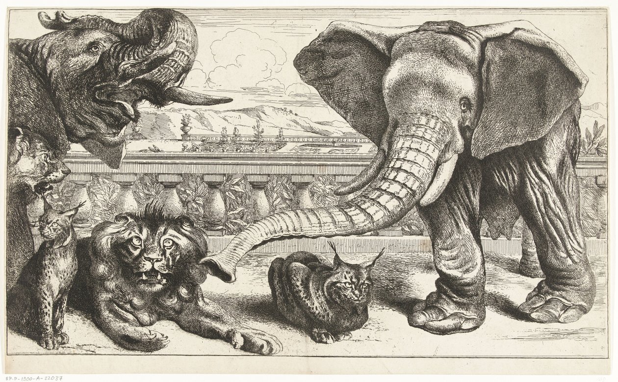 Olifanten, leeuwen en lynxen in de tuinen van Versailles door Peeter Boel (attributed to)