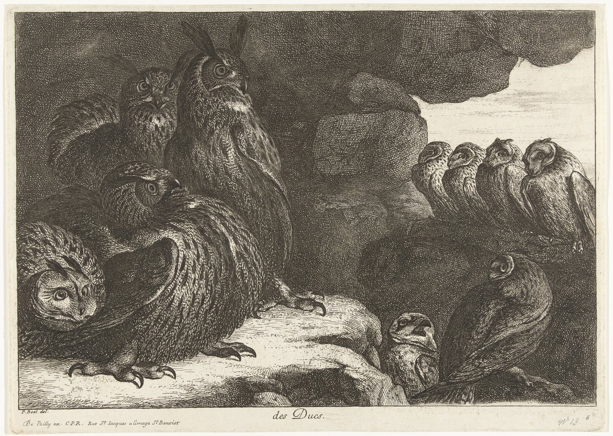 Uilen in een grot door Peeter Boel (attributed to)