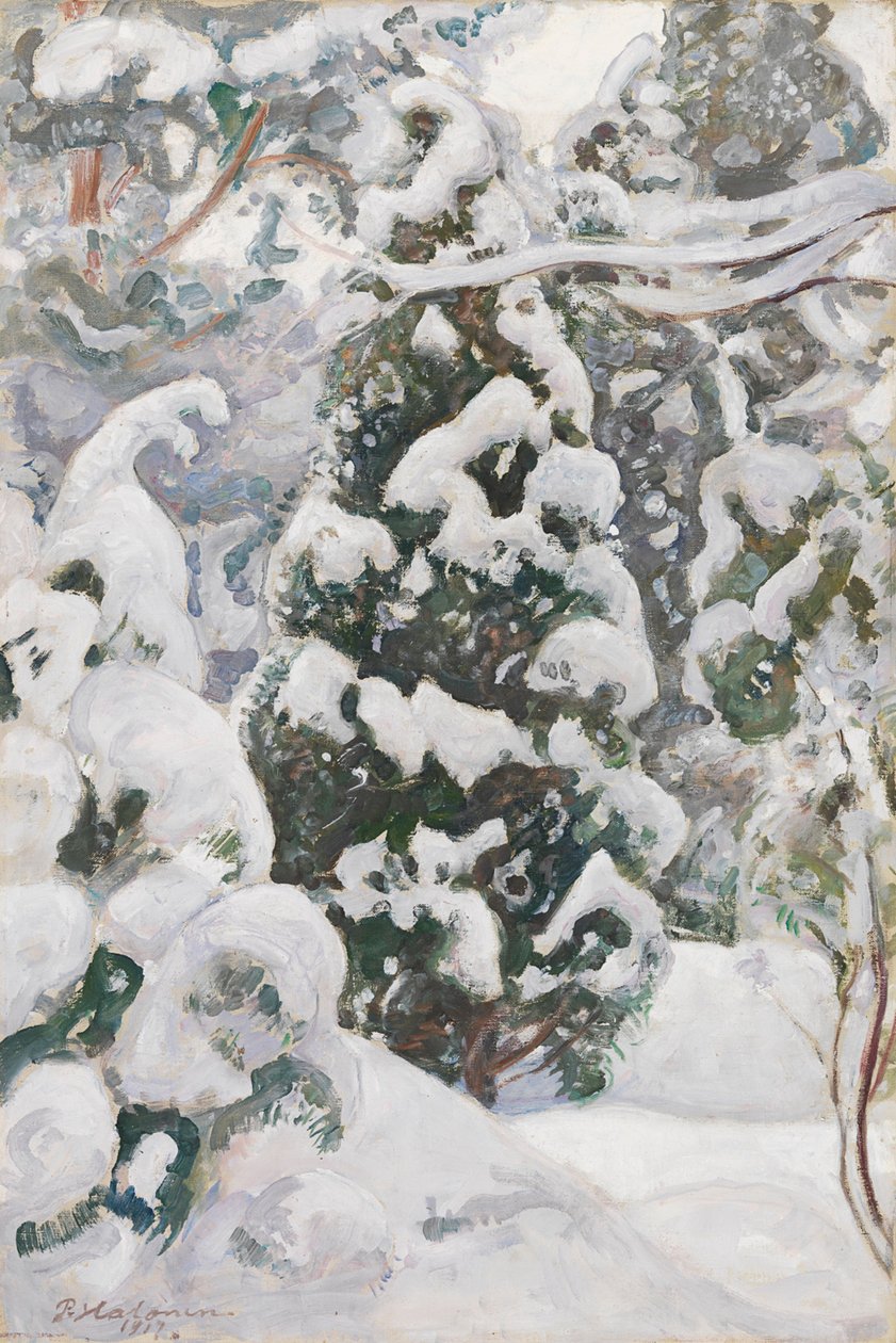 Jeneverbes in de sneeuw door Pekka Halonen