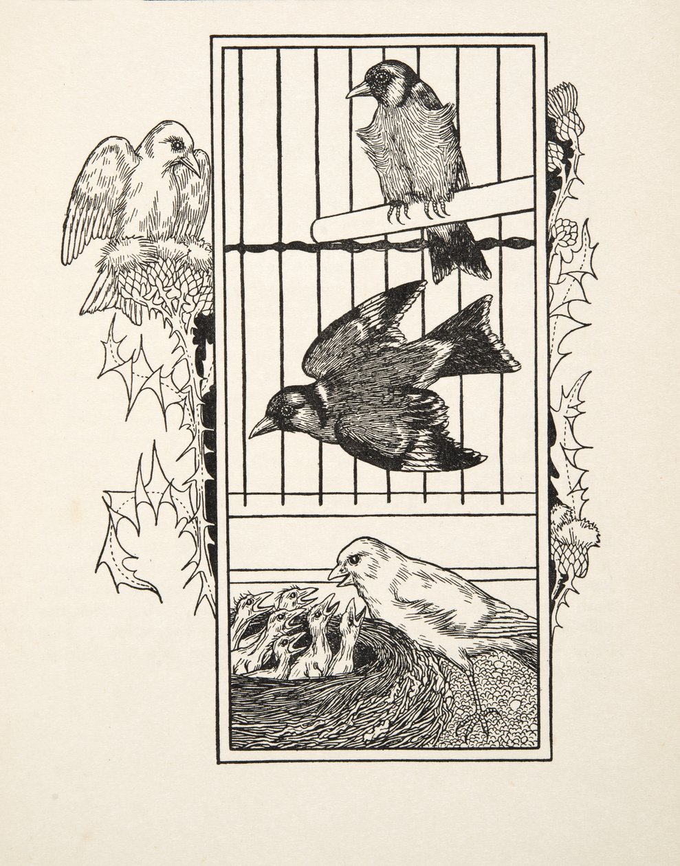 Een liefdadige kanarie, uit Honderd anekdotes van dieren, pub. 1924 door Percy J. Billingshurst