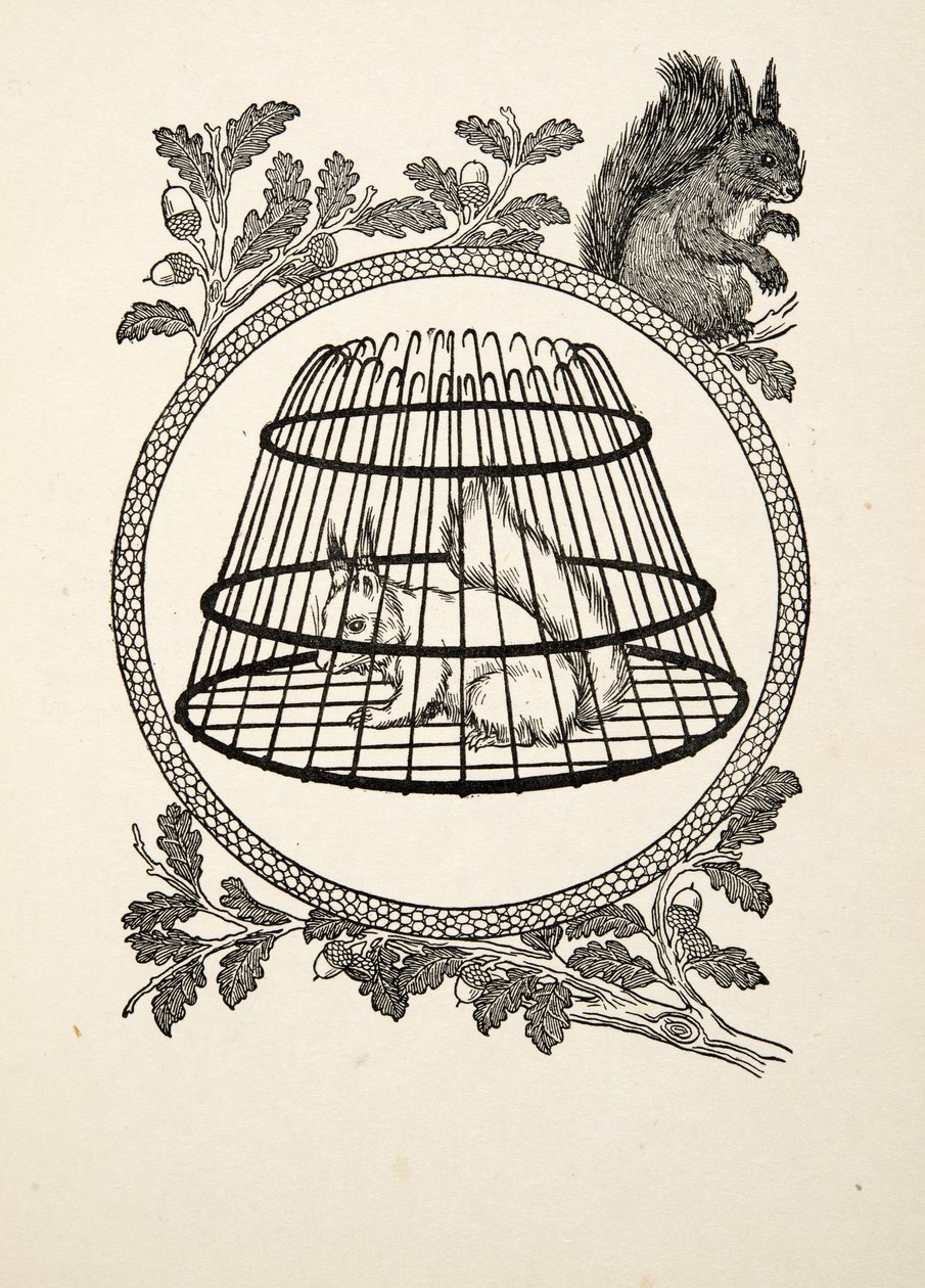 Een vluchteling eekhoorn, uit Honderd anekdotes van dieren, pub. 1924 door Percy J. Billingshurst