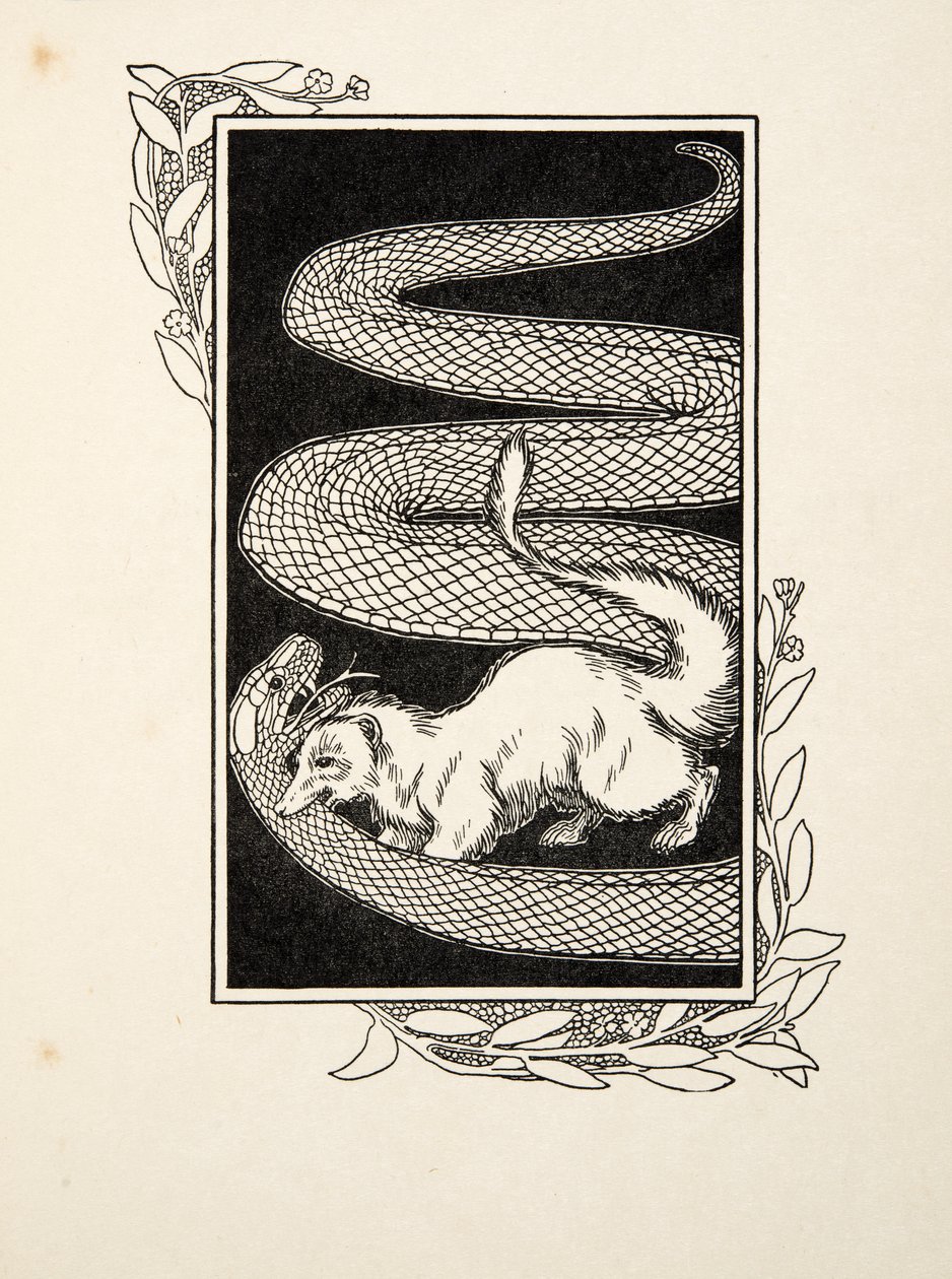 Slangenvernietigers, uit Honderd Anekdotes van Dieren, uitgegeven 1924 door Percy J. Billingshurst