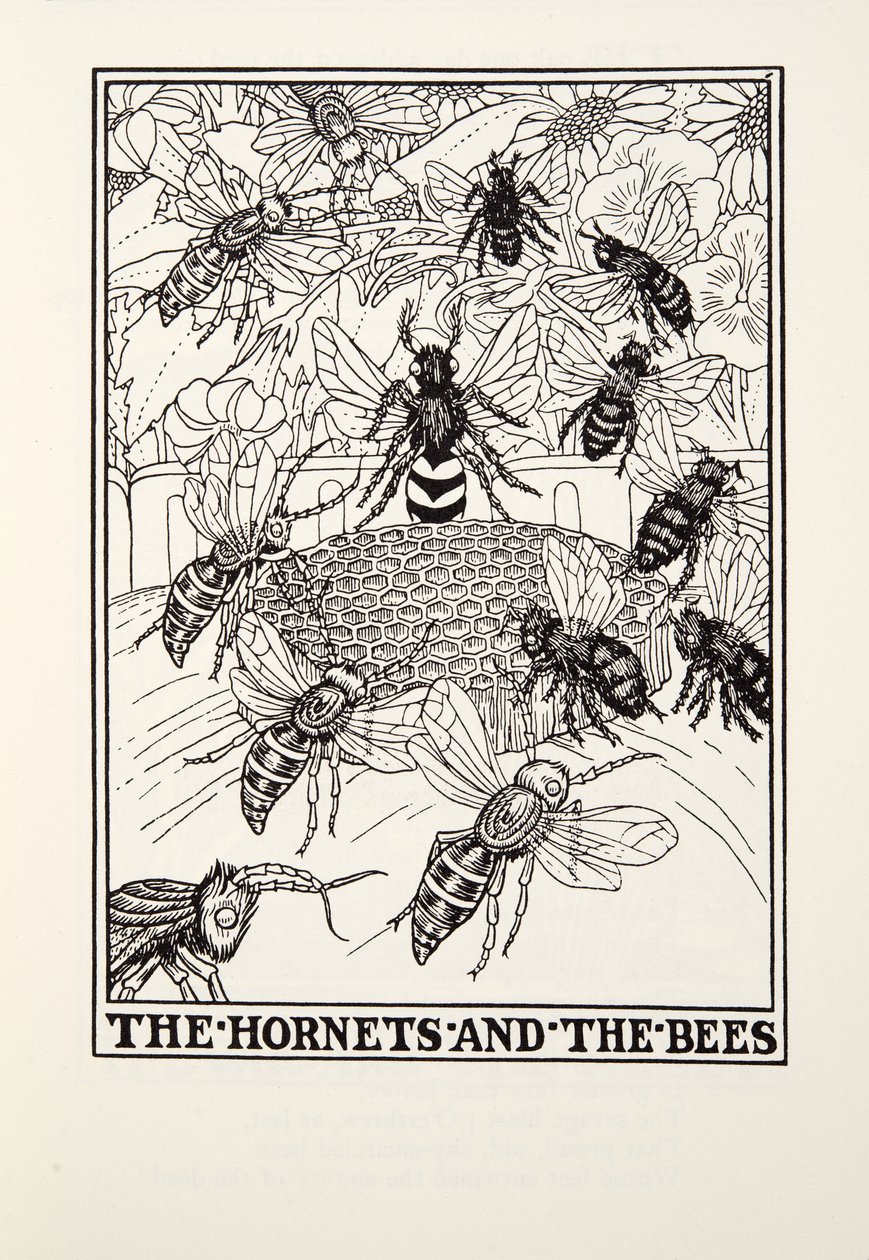 De Horzels en de Bijen, uit Fontaine Fabels, uitgegeven 1905 (gravure) door Percy J. Billingshurst