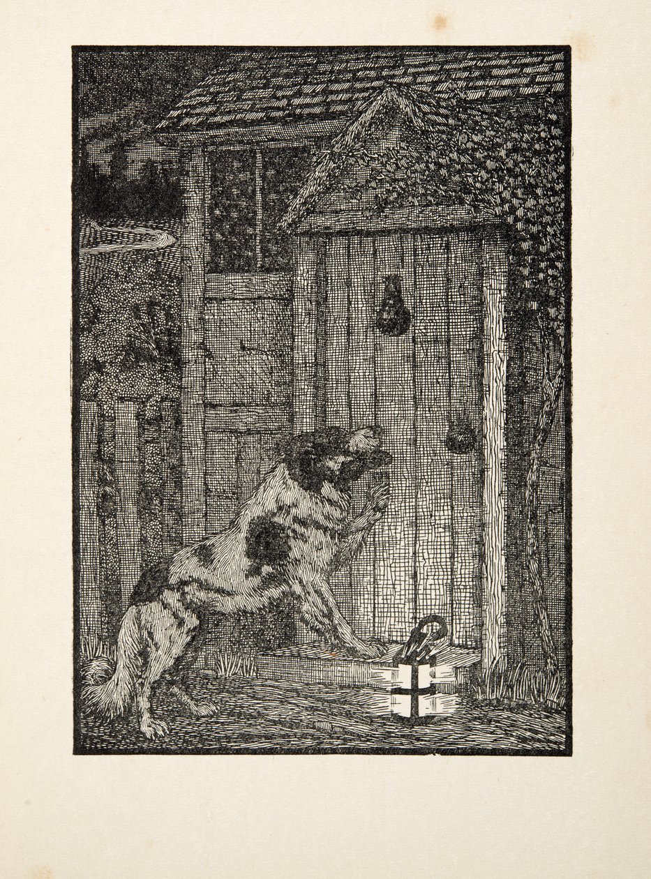 De Newfoundland Hond, uit Honderd Anekdotes van Dieren, uitgegeven 1924 door Percy J. Billingshurst