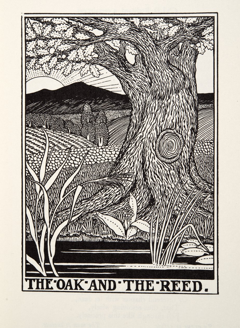 De eik en het riet, uit Fontaine Fabels, uitgegeven 1905 door Percy J. Billingshurst