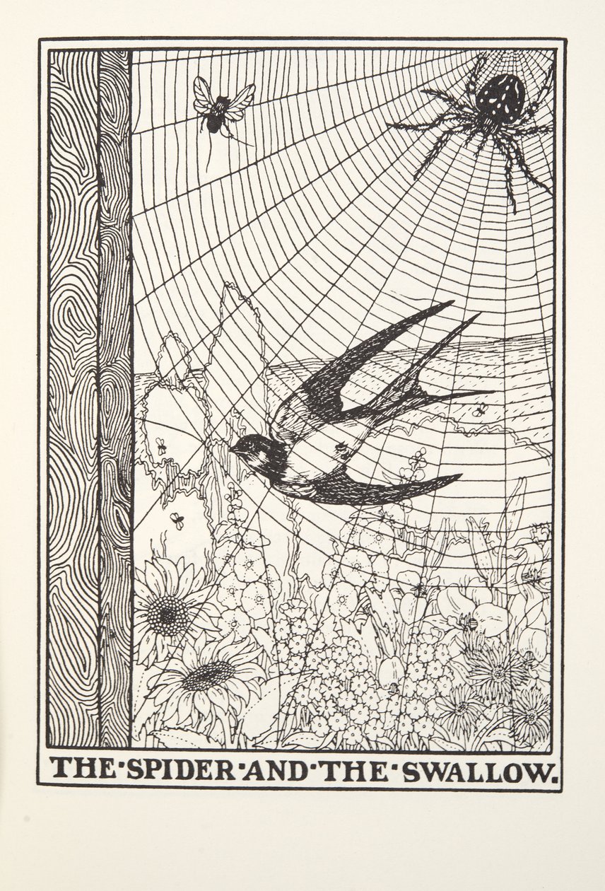 De Spin en de Zwaluw, uit Fontaine Fabels, uitgegeven 1905 door Percy J. Billingshurst