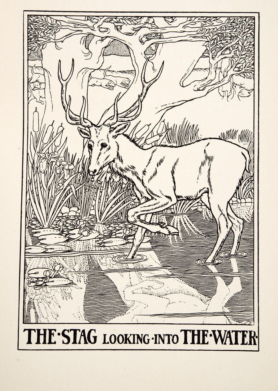 Het Hert dat in het Water kijkt, uit Honderd Fabels van Aesopus, uitgegeven 1903 (gravure) door Percy J. Billingshurst
