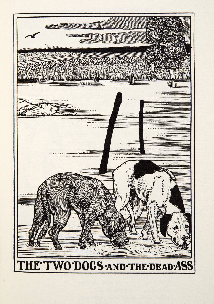 De Twee Honden en de Dode Ezel, uit Fontaine Fabels, uitgegeven 1905 door Percy J. Billingshurst