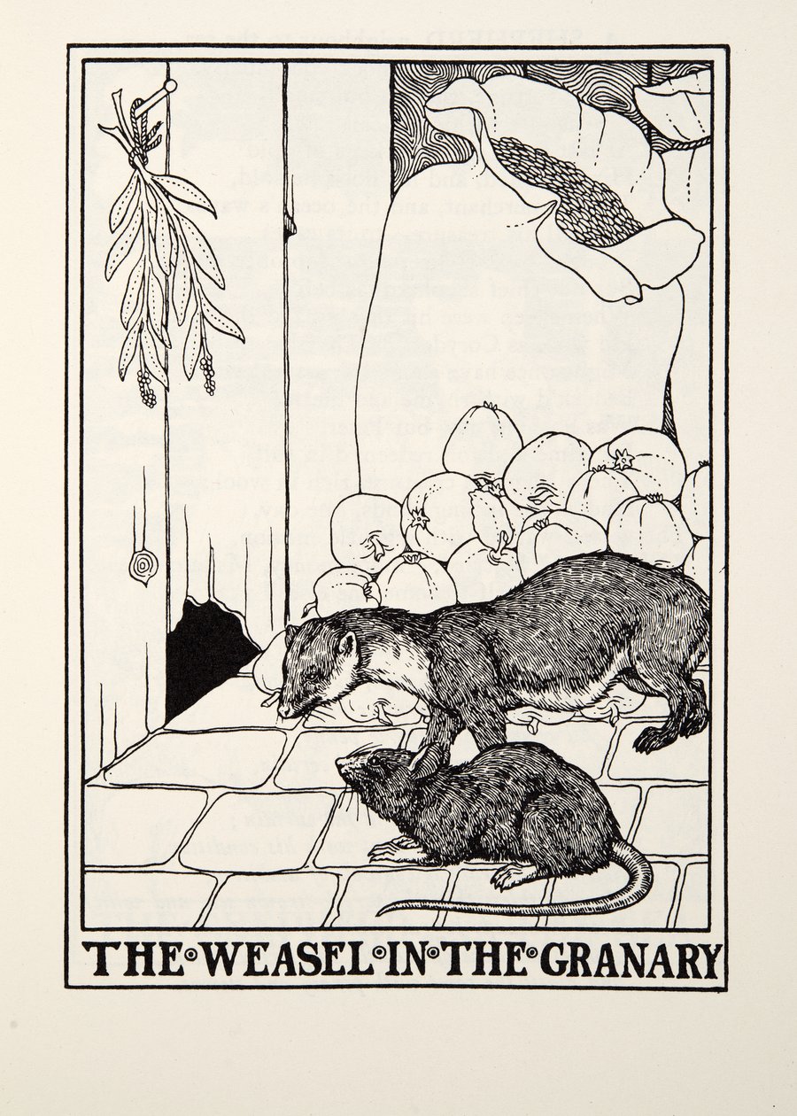 De Wezel in de Graanschuur, uit Fontaine Fabels, uitgegeven 1905 door Percy J. Billingshurst
