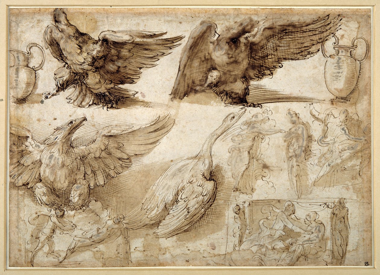 Studies van een adelaar, een gans, een kruik, een pot en menselijke figuren waaronder twee voor een Verkrachting van Lucretia door Perino del Vaga