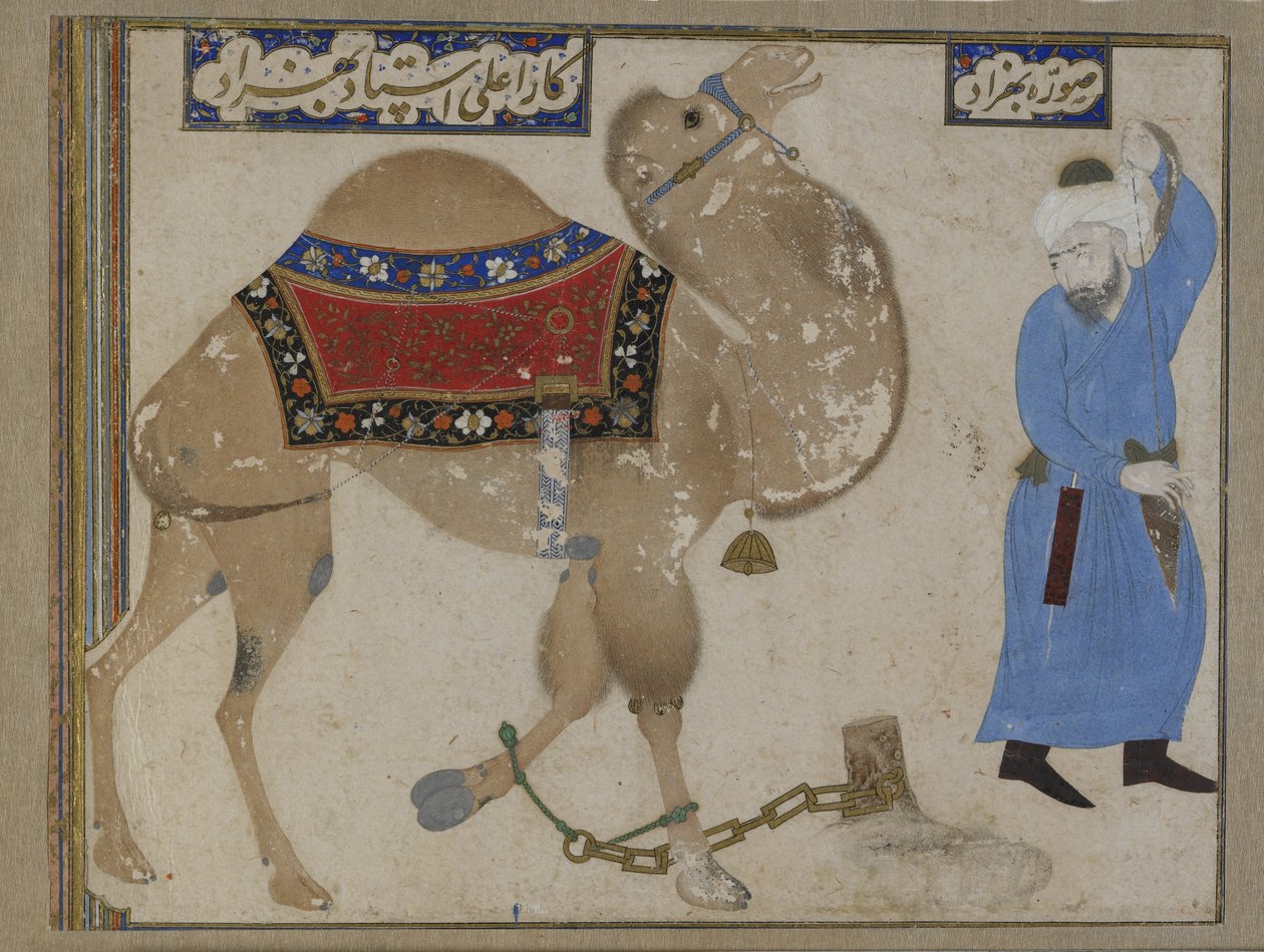 Geketende kameel en verzorger, Safavid Periode door Persian School