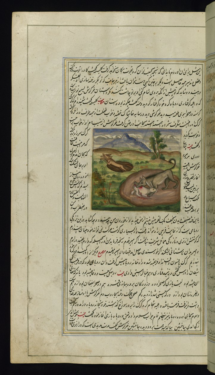Een jakhals verslindt een haas uit Lichten van Canopus, 1847 door Persian School