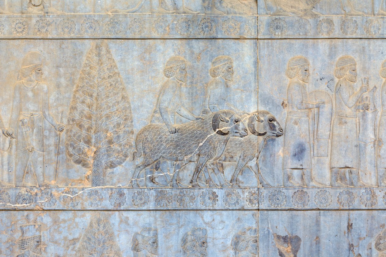 Bas-reliëfs op de muren van het Apadana-paleis en trap, Persepolis, Iran door Persian School