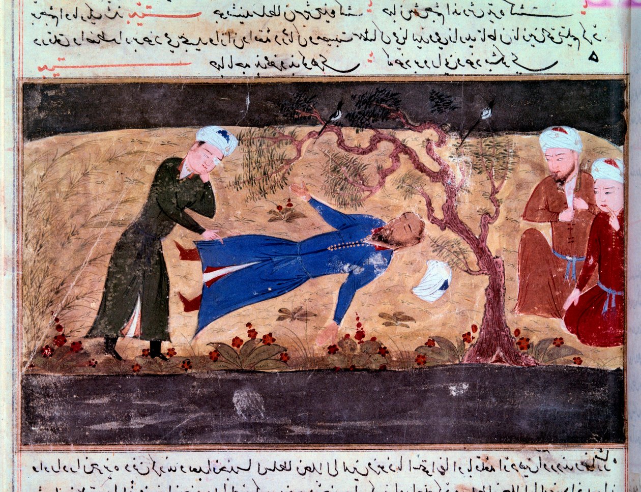 Geschiedenis van de Mongolen: De dood van Mohammed Hwarazmshah door Persian School