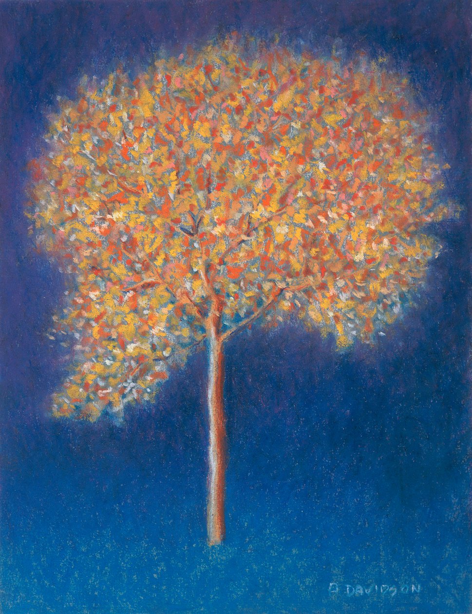 Boom in Bloei, 1997 door Peter Davidson