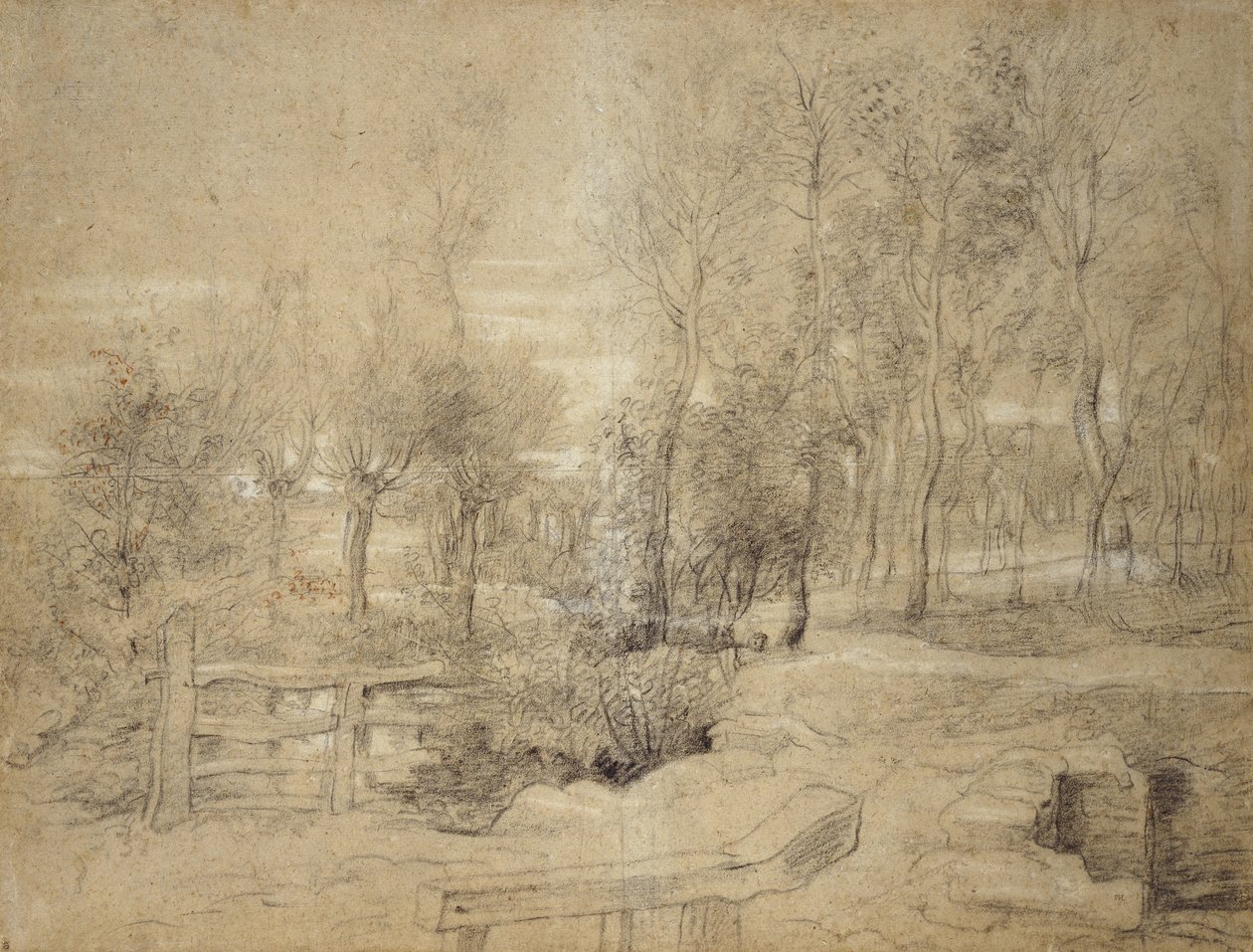 Boslandschap door Peter Paul Rubens
