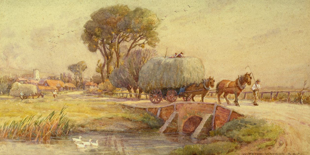 De Hooiwagen door Peter Watson