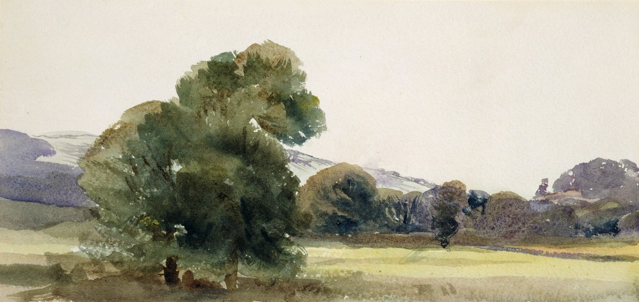 Bomen in een veld door Peter de Wint