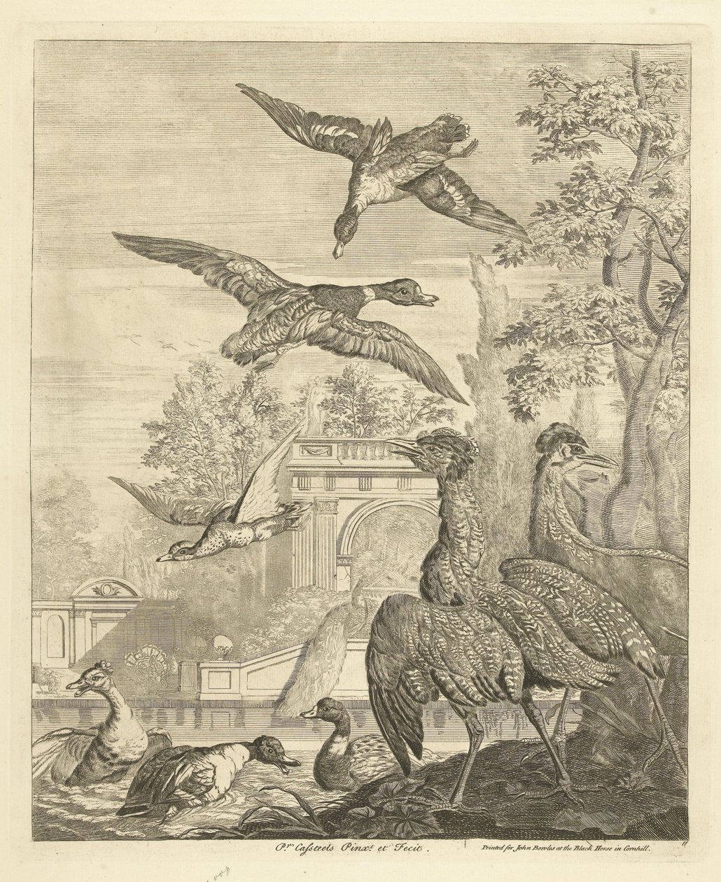 Eenden en reigers bij een vogelvijver door Peter Casteels (III)