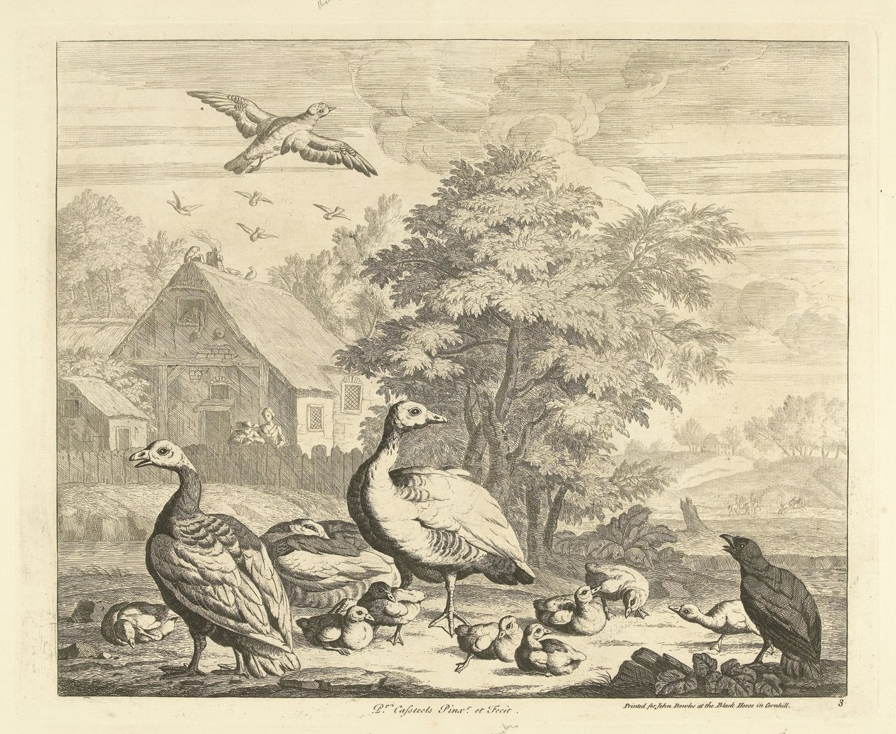 Ganzen met kuikentjes bij een beek Verschillende vogels door Peter Casteels (III)