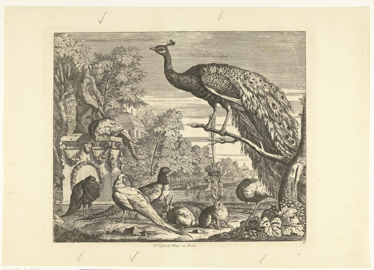 Pauw, konijnen en andere vogels bij een tuinfontein Verschillende vogels (serie) door Peter Casteels (III)