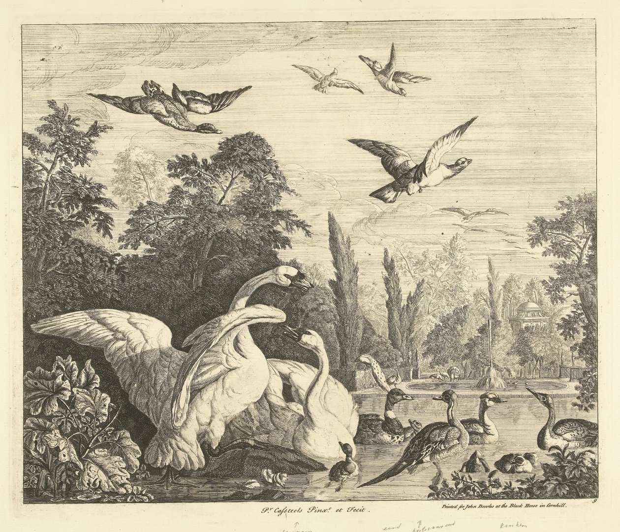 Zwanen en eenden in een vogelvijver Verschillende vogels door Peter Casteels (III)