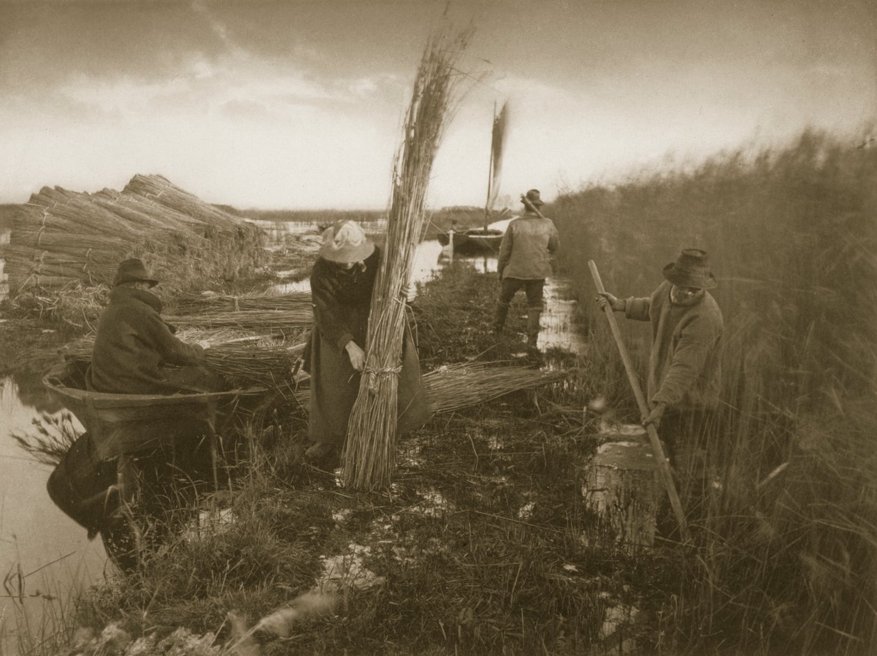 Tijdens de Rietoogst, Leven en Landschap op de Norfolk Broads, ca. 1886 door Peter Emerson und Thomas Goodall