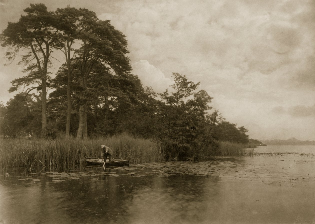 Het Verblijf van de Snoek, c.1886 door Peter Emerson und Thomas Goodall